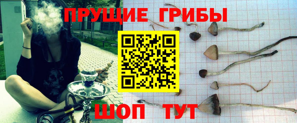 Псилоцибиновые грибы Cubensis  Вход с VPN  как найти закладки  Советский 