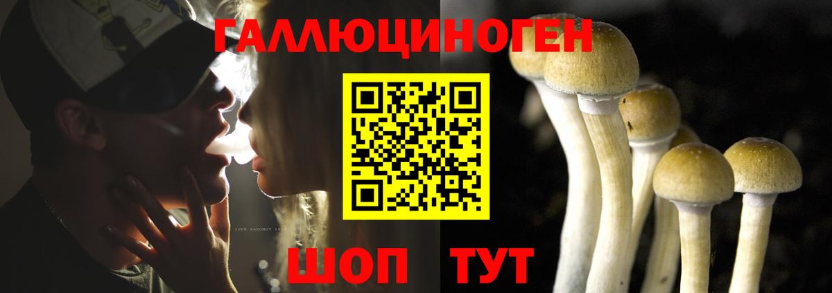 Галлюциногенные грибы Cubensis Советский